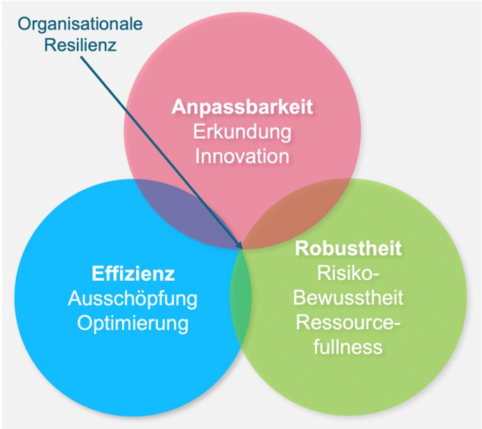 Zielfelder der organisationalen Resilienz